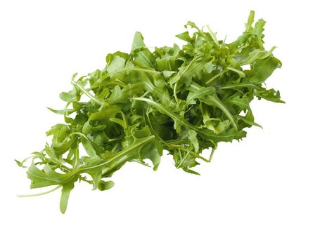 biologische-rucola