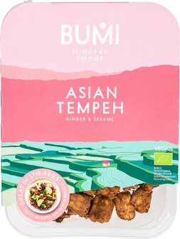 biologische-asian-tempeh