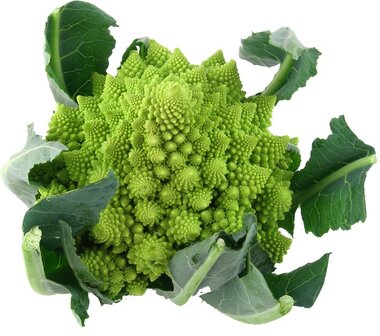 biologische-romanesco