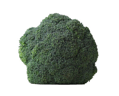 broccoli - stuk (ong. 400 gram)