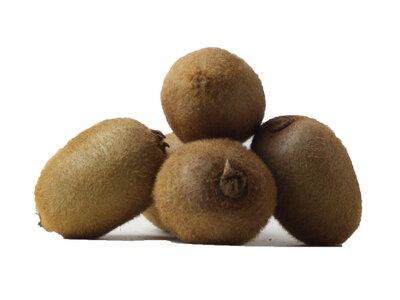 kiwi green - 500 gram