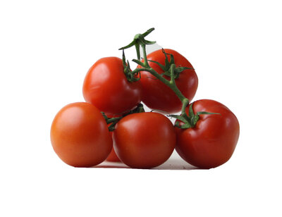 tomaten - 500 gram