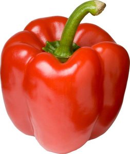 houd er rekening mee dat ethiek roekeloos biologische paprika rood - organic red bell pepper - stuk |  Biowinkel4you.nl - Biowinkel4you.nl - Online Biologische Winkel
